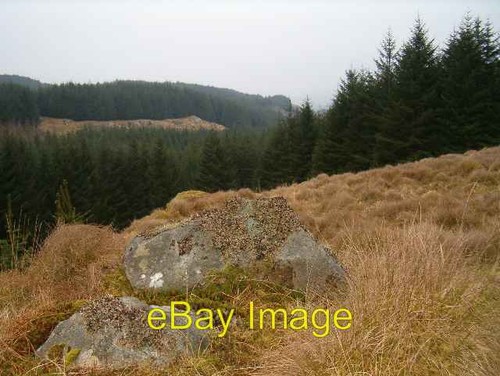 Photo 6x4 forest ride - forest, looking
