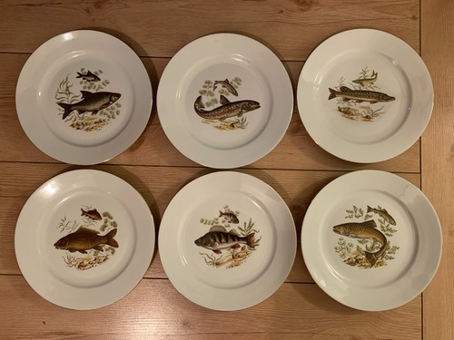 Speiseteller mit fisch motive - speiseteller,