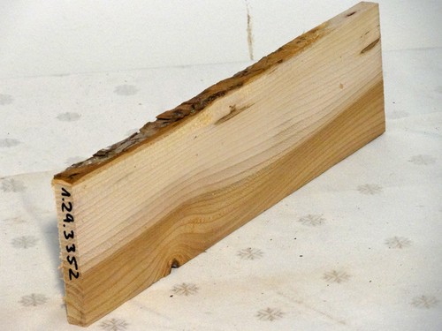 Ulme rüster holz bastelholz - ulme,