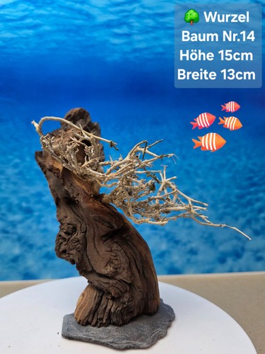 Top aquarium mopani - top,