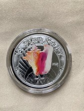 EC8 - 1 oz Silber coloriert St. Kitts & Nevis MUSCHEL 2023