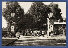 Bad Saarow-Pieskow 1969