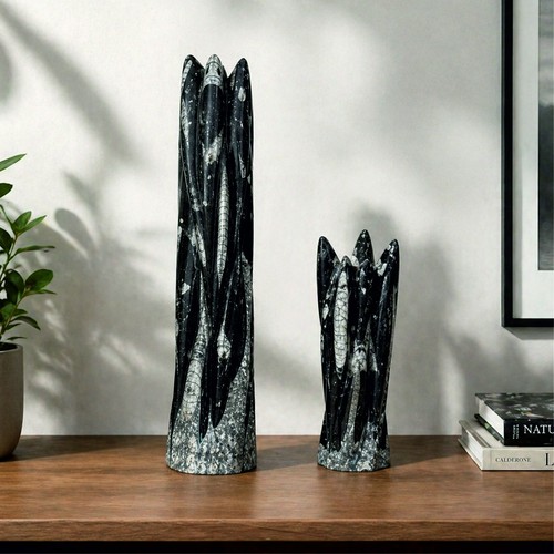 Orthoceras fossil skulptur - orthoceras,