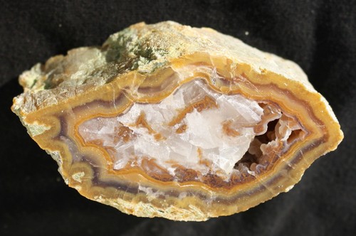 Versteinertes - versteinertes, (achatisiertes)
