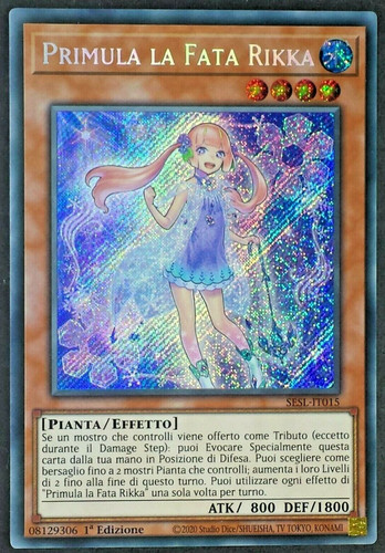 Primula fata rikka rare - primula,