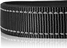 Reflekterande hundhalsband