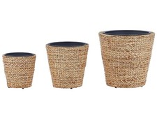 Set 3 Zimmerpflanze Rattantopf Blumenkübel Blumentöpfe Pflanzkübel Rattan