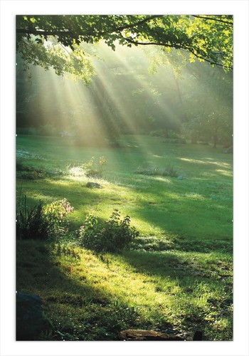 Wallario premium poster - premium, plakat