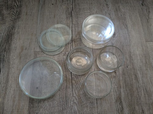 Petrischale glas labor - petrischale,