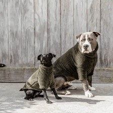 Kentucky Dogwear Hunde