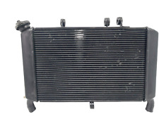 WASSERKÜHLER REPARIERT MIT LÖTUNG UND BOZEN YAMAHA MT 09 2014/2016 1RC1246100