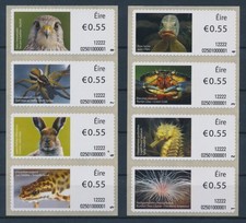 Irland atm falke spinne hase - irland,