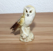 Schleiereule von Göbel