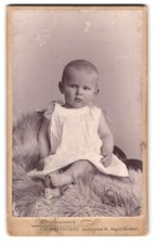 Fotografie Otto Zeumer