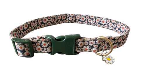 Hunde halsband grün blau - blau, mit