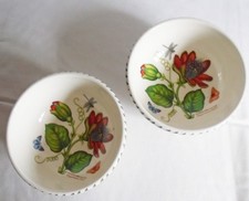 Portmeirion Exotischer