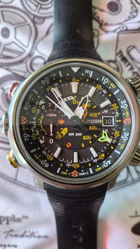 Citizen promaster land eco - promaster,