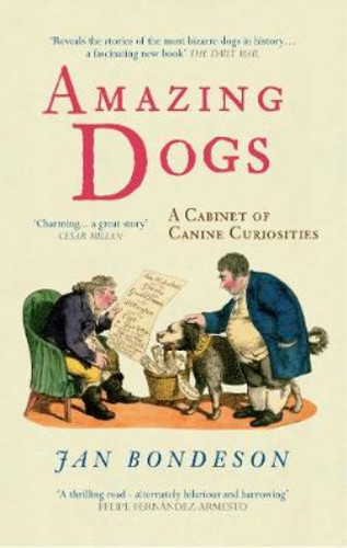 Amazing dogs cabinet of - amazing, dogs: