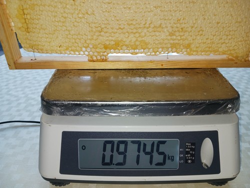 Wabenhonig rähmchen aus elm - wabenhonig,