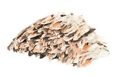 Kaninchenohren mit Fell 4 kg