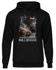 Französische Bulldogge