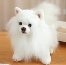 Weißer Pomeranian-Hund 23 cm
