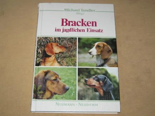 Bracken jagdlichen einsatz - bracken,