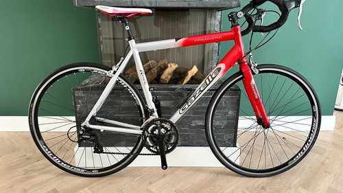 Gazelle primavera road - gazelle,
