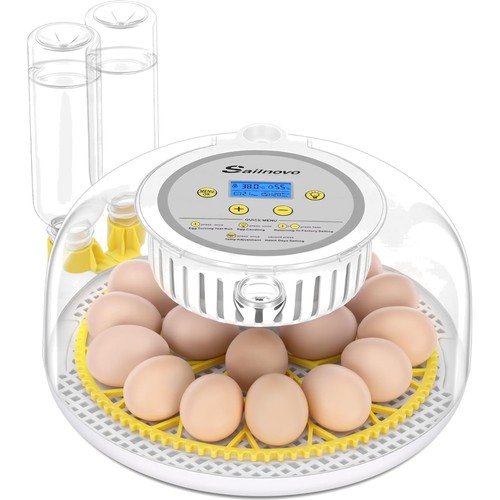 Eier inkubator brutautomat - eier,