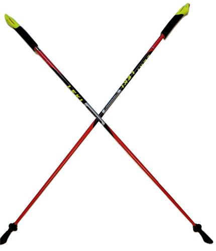 Leki nordic walking - nordic,