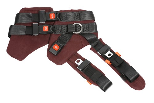Bungee trampolin sprunggurt - bungee,