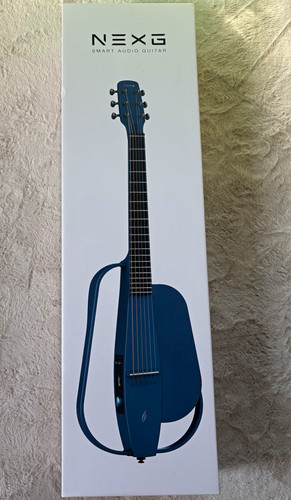 Enya music nexg - enya, akustikgitarre