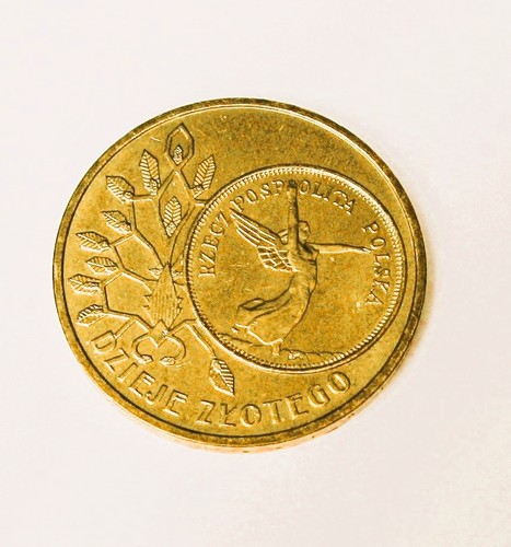 Zloty dzieje złotego - dzieje,