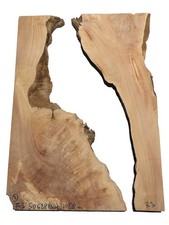 Oliven wurzelholz holz für - 2x,