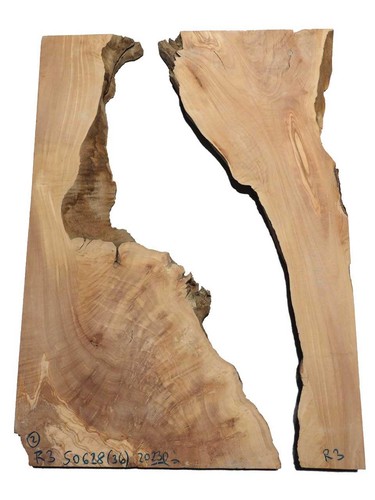 Oliven wurzelholz holz - 2x,