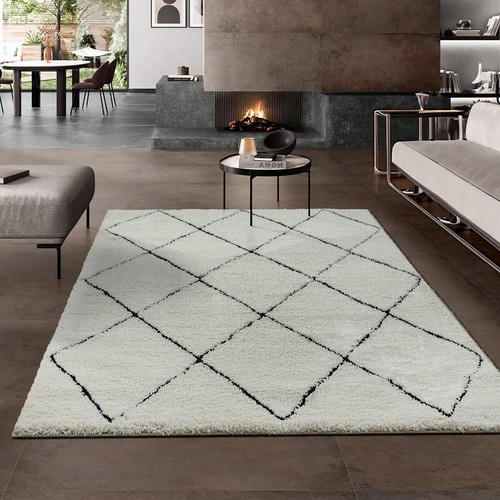 Shaggy teppich hochflor - shaggy,
