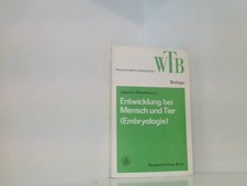 Entwicklung bei Mensch und