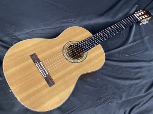 Takamine 310 - takamine, pt-310