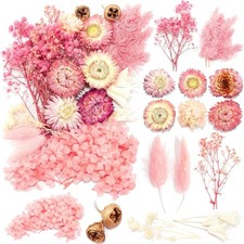 Trockenblumen Set getrocknete