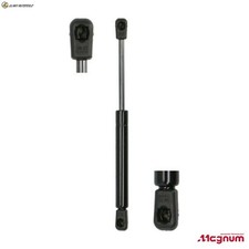 GASFEDER VERDECK MGS119