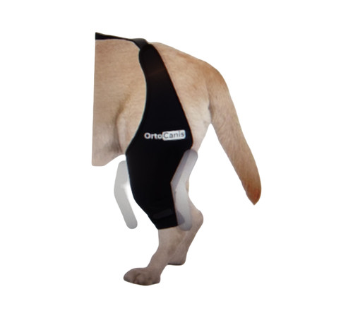 Ortocanis knie orthese hund - ortocanis, knie-orthese