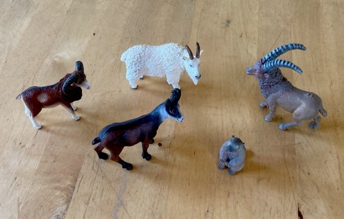 Schleichtiere gebirgstiere - schleichtiere, 5
