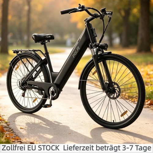 Zoll city bike 250w 36v - e-bike,