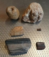 4× Fosilien Versteinerung Holz deko sammeln Versteinertes-Holz + Stein m.Loch