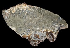 Fiederpyrit / Federpyrit -