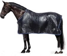 HANSBO SPORT Stalldecke