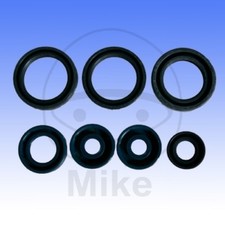 Motorsimmerringsatz Aprilia RS