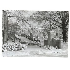 Ansichtskarte AK Potsdam