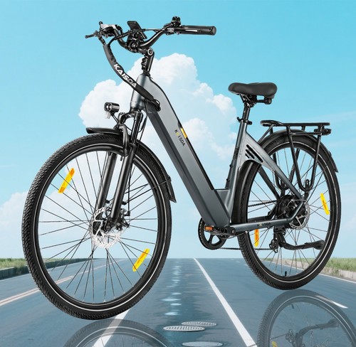 Bike zoll 250w - 28,