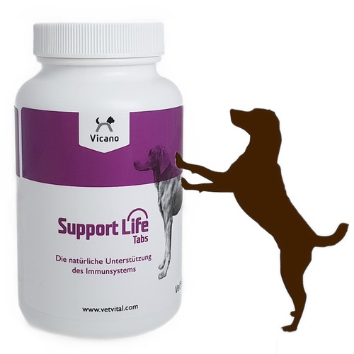 Vicano support life tabs - vicano,